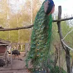 Chalet Drevenica Pod Vrbami S Farmou A Zvieratami