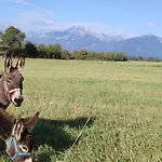 Drevenica Pod Vrbami S Farmou A Zvieratami