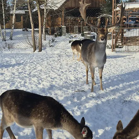 Chalet Drevenica Pod Vrbami S Farmou A Zvieratami *