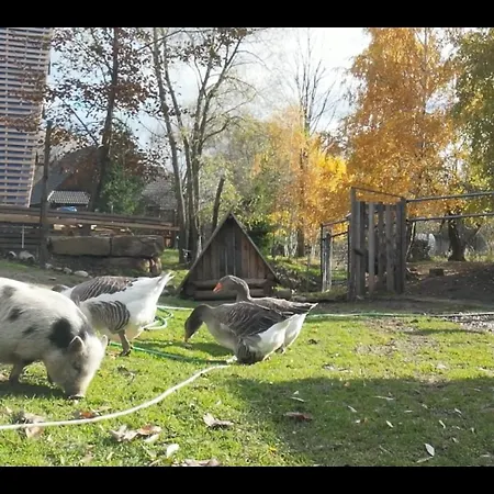 Alpesi faház Drevenica Pod Vrbami S Farmou A Zvieratami Szepestótfalu