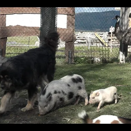 Alpesi faház Drevenica Pod Vrbami S Farmou A Zvieratami *