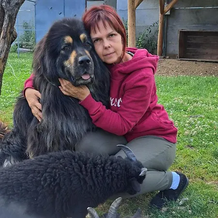 Drevenica Pod Vrbami S Farmou A Zvieratami *