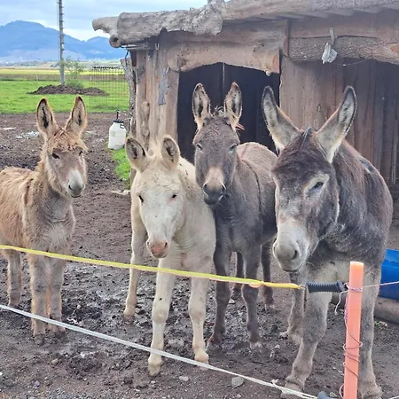 Chalet Drevenica Pod Vrbami S Farmou A Zvieratami *
