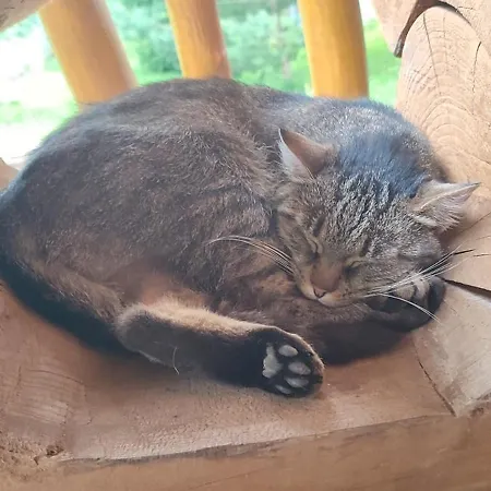 Drevenica Pod Vrbami S Farmou A Zvieratami Chalet Slovenská Ves