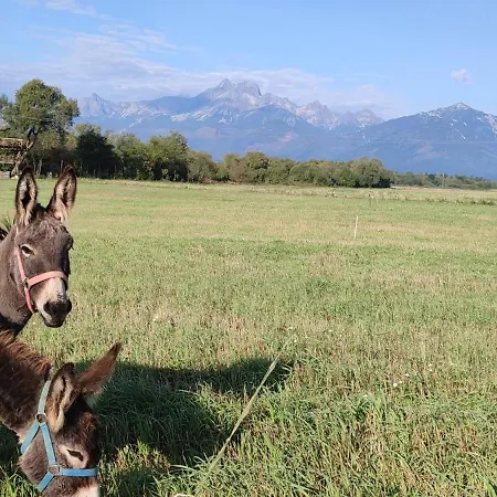 Drevenica Pod Vrbami S Farmou A Zvieratami