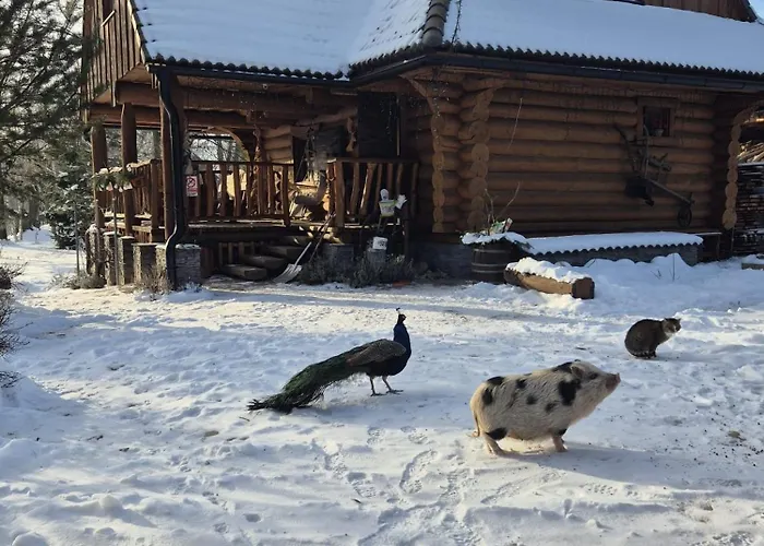Alpesi faház Drevenica Pod Vrbami S Farmou A Zvieratami Szepestótfalu