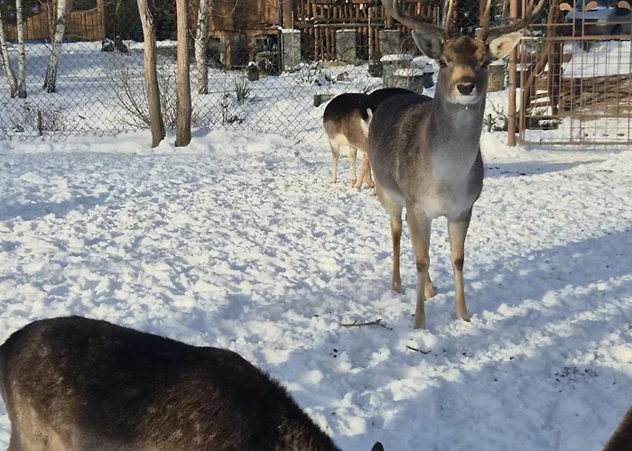 Alpesi faház Drevenica Pod Vrbami S Farmou A Zvieratami *