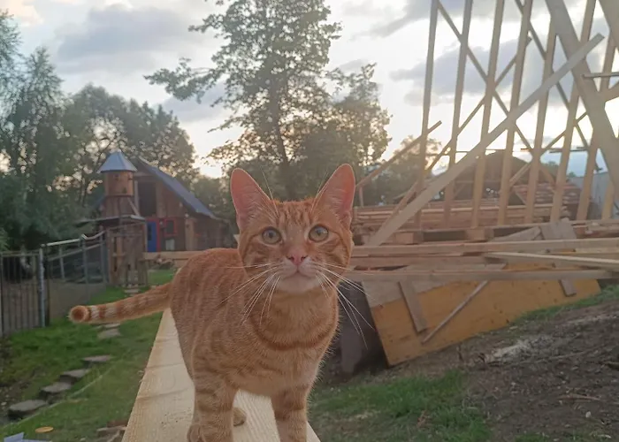 Alpesi faház Drevenica Pod Vrbami S Farmou A Zvieratami *