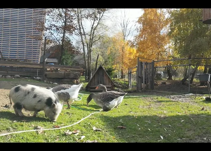 Alpesi faház Drevenica Pod Vrbami S Farmou A Zvieratami Szepestótfalu