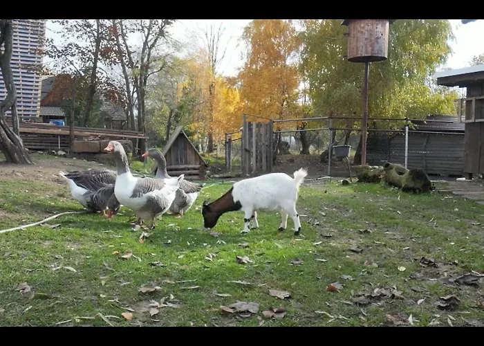 Drevenica Pod Vrbami S Farmou A Zvieratami Alpesi faház
