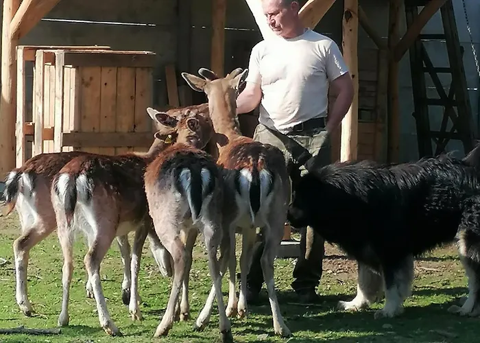 Alpesi faház Drevenica Pod Vrbami S Farmou A Zvieratami *