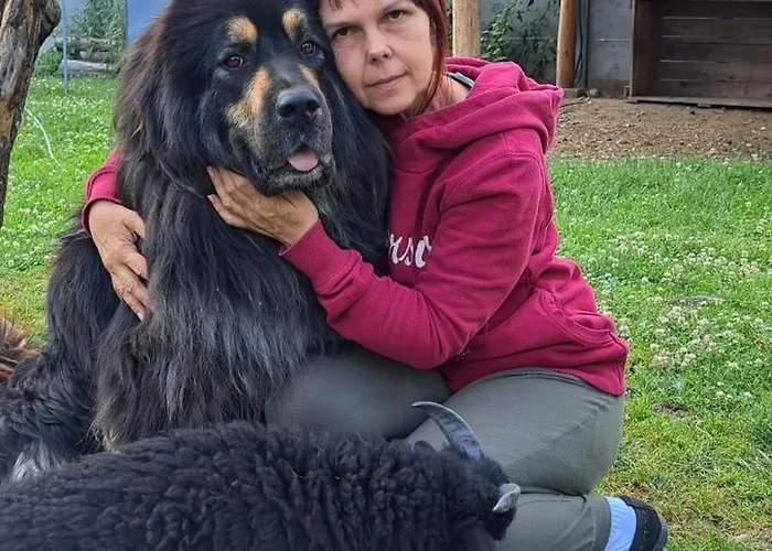 Drevenica Pod Vrbami S Farmou A Zvieratami *