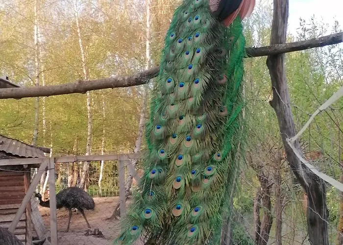 Alpesi faház Drevenica Pod Vrbami S Farmou A Zvieratami