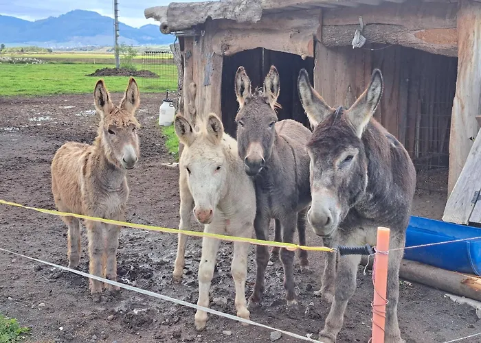 Alpesi faház Drevenica Pod Vrbami S Farmou A Zvieratami *