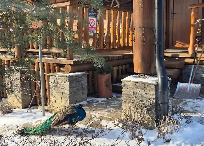 Drevenica Pod Vrbami S Farmou A Zvieratami * Szepestótfalu