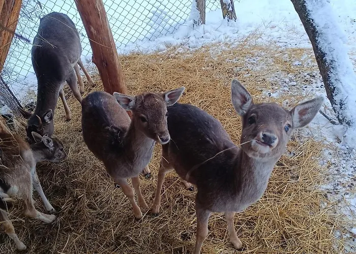 Alpesi faház Drevenica Pod Vrbami S Farmou A Zvieratami *