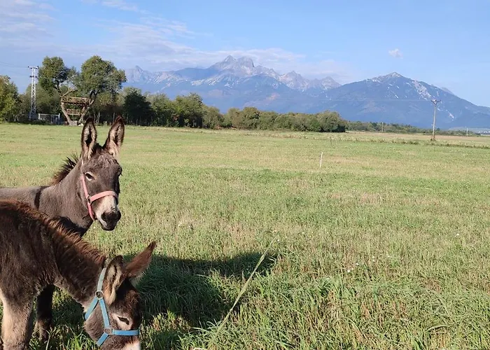 Drevenica Pod Vrbami S Farmou A Zvieratami