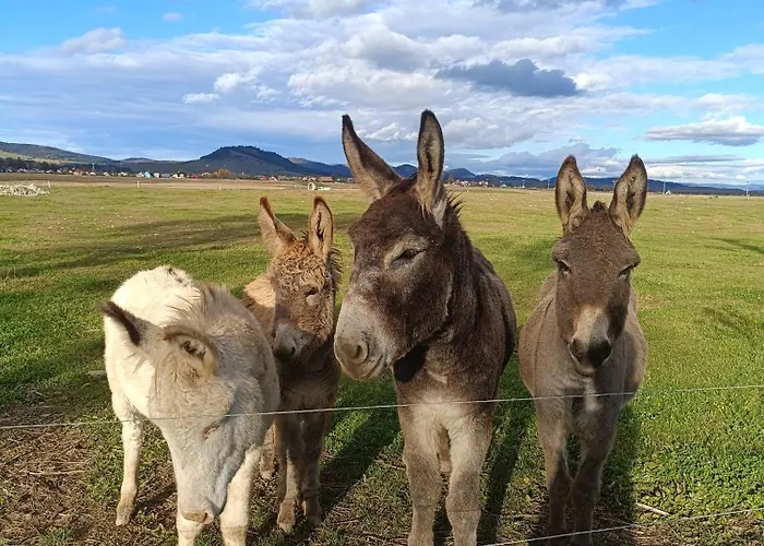 Drevenica Pod Vrbami S Farmou A Zvieratami * Szepestótfalu